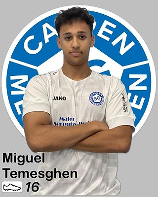 Miguel Temesghen