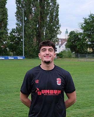 Ledion Dzemailoic