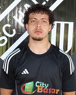 Ayoub Manari Majahdi