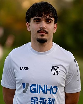 Lenart Hasani