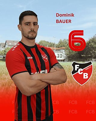 Dominik Bauer
