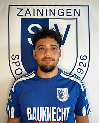 Tarik Mollahüseyinoglu