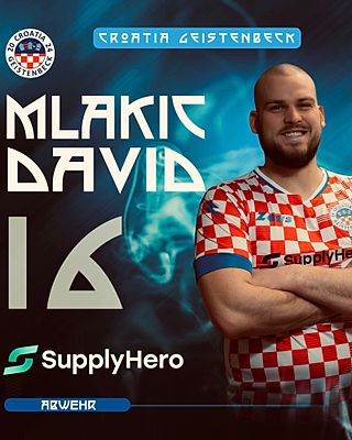 David Mlakic