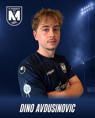 Dino Avdusinovic
