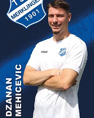 Dzanan Mehicevic