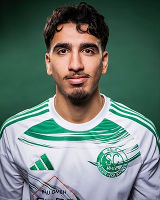 Ismail Farzat