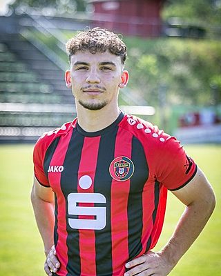 Alexander Schleicher