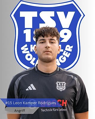 Leon Samuel Kamper Rodrigues