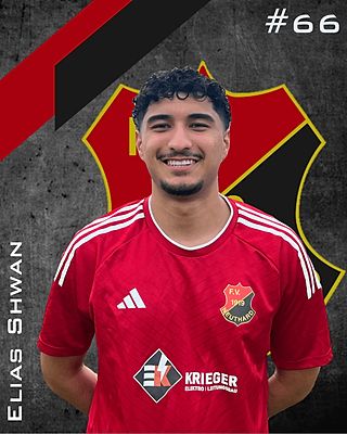 Elias Shwan