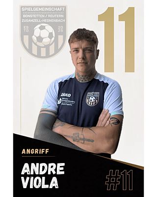Andre Viola