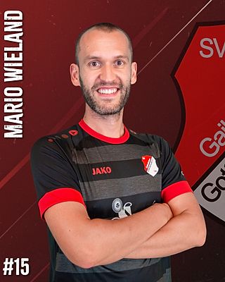 Mario Wieland