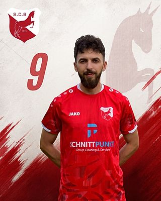 Ugur Caliskan