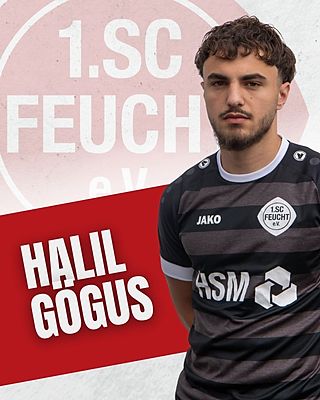 Halil Göǧüs