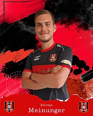 Silvan Meinunger