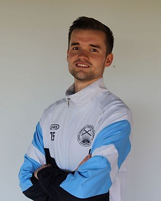 Theo Andreas Dierkes