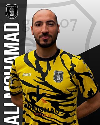 Ali Mohamad Ali Mohamad