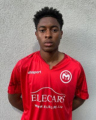 Alhassane Diallo