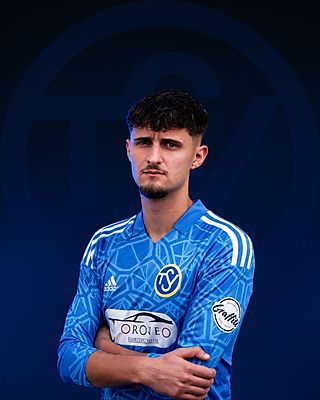 Nedim Hadziresic