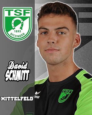 David Schmitt