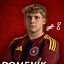 Domenik Reinhardt