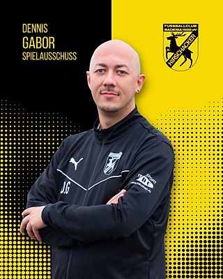 Dennis Gabor