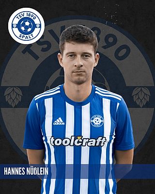 Hannes Nüßlein