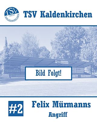 Felix Mürmanns