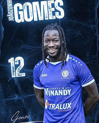 Joaozinho Wilfried Gomes