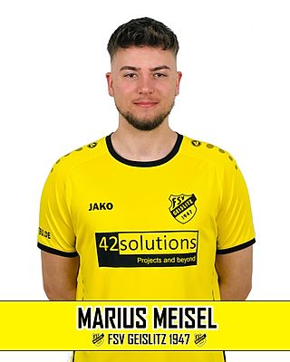 Marius Meisel