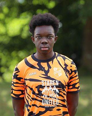 Romeo Adrian Guimapi Nguekeng