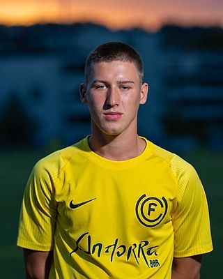 Finn Davi