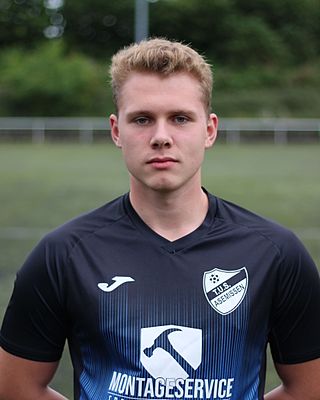 Niklas Alexander Handau