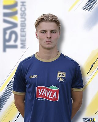 Gustav Johan Novoszel