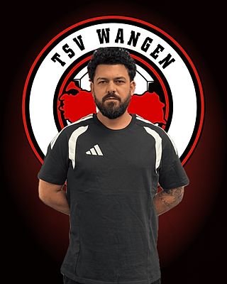 Berkan Afsarli