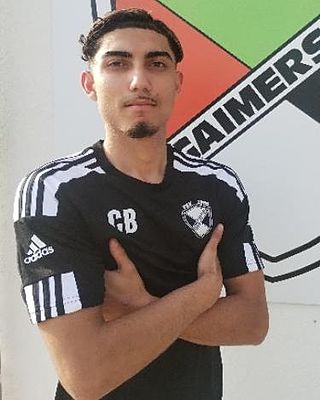 Giuliano Ališanović