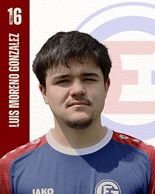 Luis Moreno-Gonzalez