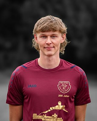 Lüllwitz Falk