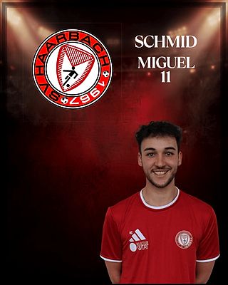 Miguel Schmid