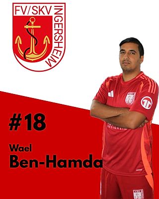 Wael Ben Hamda