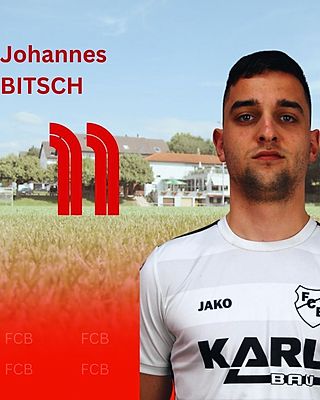Johannes Bitsch