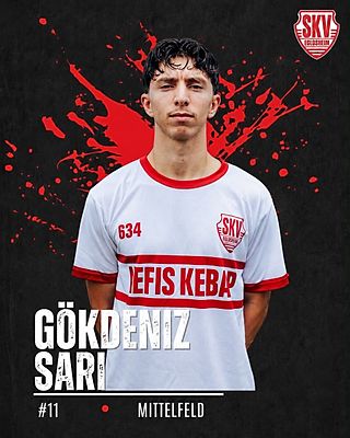 Gökdeniz Sari