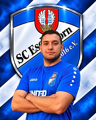 Giovanni Fichera