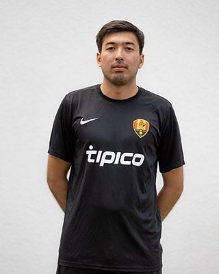Mohammad Reza Hosseyni