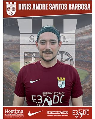 Dinis André Santos Barbosa