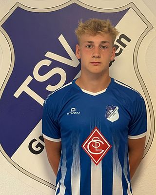 Matthis Henry Klaus Stapelfeld