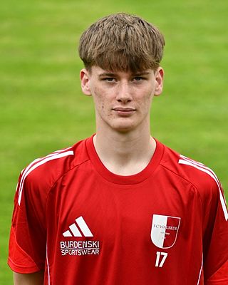 Hannes Theo Kirchner