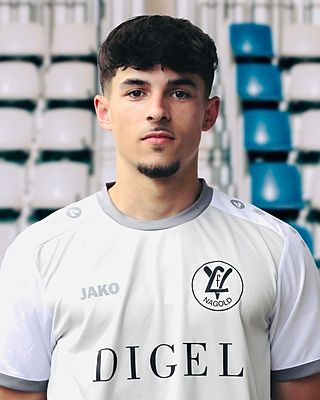 Nico Gaiser