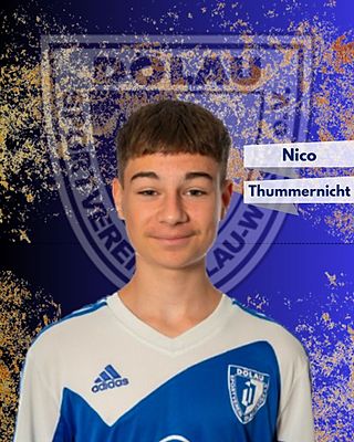 Nico Thummernicht