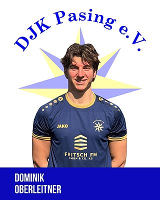 Dominik Oberleitner