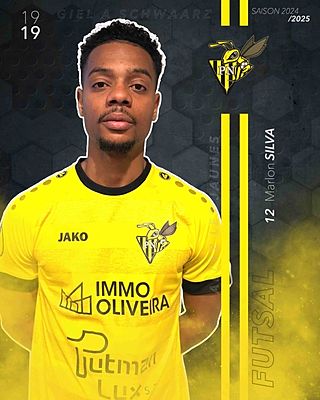 Marlon Abilio Pinto Silva